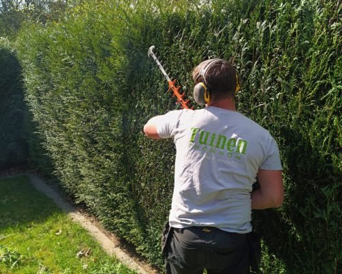 IMG_20250329_131708_762